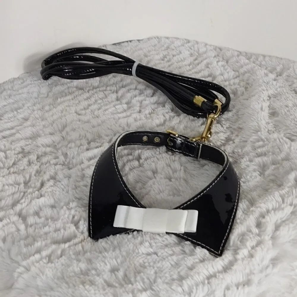 Dog Collar & Leash 12